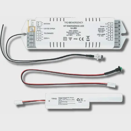 Аварийный блок питания Световые технологии Аварийный блок CONVERSION KIT LED K-200V-1 (4501008110)-0