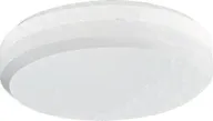 Светильник C360/132 круглый под КЛЛ опаловый 1х32Вт IP 54 1131000040 Световые Технологии